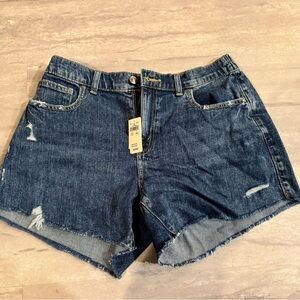 Aerie Dark Blue Jean Shorts